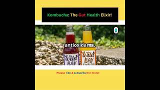 Kombucha The Gut Health Elixir [upl. by Collayer]