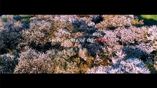 倉木麻衣「Secret voice of my heart」Lyric Video [upl. by Htiekram]