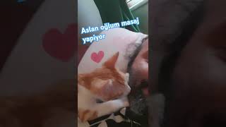 Masaj yapan kedi kedi masaj massage candost haydut [upl. by Harbison]