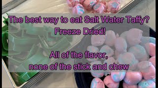 The best way to eat Salt Water Taffy Freeze Dried [upl. by Schiff223]