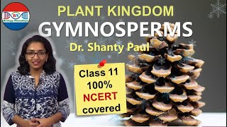 Gymnosperms  Plant kingdom [upl. by Eliza]