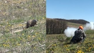 Groundhog Hunting with Muzzleloader Bow amp Rifle 2012 [upl. by Rockel]