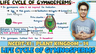 Plant Kingdom Lec 14 Life Cycle of Gymnosperms Class 11 NEET Neetology [upl. by Gold703]