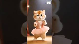 cute cat dance 🥀wish status💕🥀🥀new whatsapp statuscute puppy🥀trendingtrendshortsnew status [upl. by Naivat]