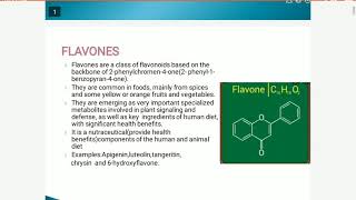 flavones and isoflavones [upl. by Einalem769]