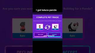 trading skater bulldog for luluca panda 🐼✨pkxdpkxdgamepkxdgameplaygamingshortspkxduniverseyt [upl. by Buehrer]