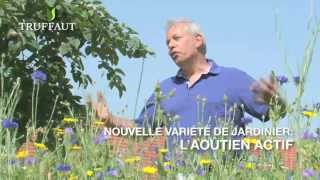 Calendrier du jardinier août  que faire au jardin ou sur la terrasse  Truffaut [upl. by Yhtomiht551]