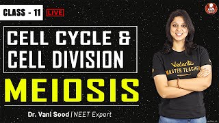 MEIOSIS  Cell Cycle and Cell Division Class 11  NCERT  NEET  AIIMS  JIPMER  Vedantu VBiotonic [upl. by Dorsman]