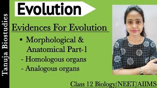 Evidences of Evolution  Morphology and Anatomical Evidences  Part1  Class 12 BiologyNEETAIIMS [upl. by Kerek]