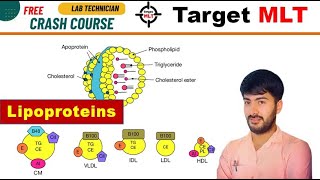 48 Lipoproteins HDL LDL VLDL chylomicron biochemistry AIIMS PGIMER DSSSB RML 2024 [upl. by Shae]