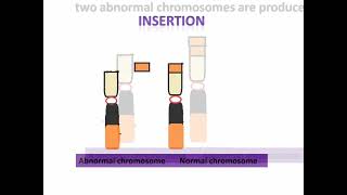 Structural chromosomal abnormalities delation duplication  inversion etc [upl. by Bouton626]