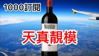 1000訂閱達成 請開字幕 天真靚模  Tignanello  1000字感想  酒海無崖  仍有進步空間 [upl. by Delaryd385]