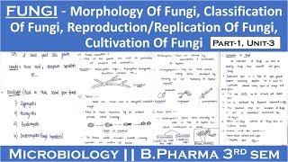 Fungi  Morphology of fungi  Classification of fungi  Reproduction of fungi  Cultivation of fungi [upl. by Anaiv]