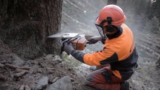 Ritorno al bosco il lavoro del boscaiolo in Lombardia [upl. by Koenraad]