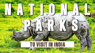 Exploring Indias Top National Parks [upl. by Adnahcal]