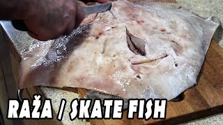 Kako očistiti i pripremiti RAŽU I How to clean and fry a SKATE FISH [upl. by Billy]