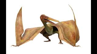 Pterodactylus Roar Dino Dan [upl. by Whitten]