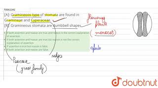 A Gramineoos type of stomata are found in Gramineae and Cyperaceae R Gramineous [upl. by Elleunamme]