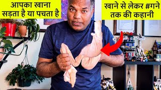 खाने से लेकर गने तक की कहानी बारीकी से समझें Food Digestion demonstration [upl. by Euqirat]