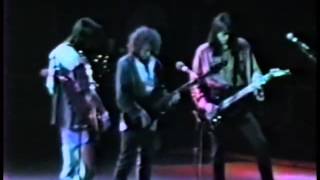 Boston  Live at Hamilton Ontario 1988 [upl. by Trin]