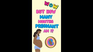 How many months pregnant am I [upl. by Orling394]