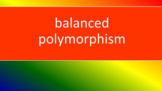 BALANCED POLYMORPHISM [upl. by Notlek]