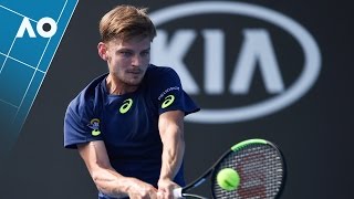 Stepanek v Goffin match highlights 2R  Australian Open 2017 [upl. by Tatman]