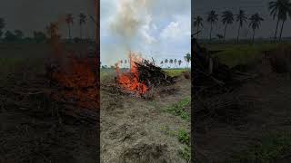 Biochar Production Inspiration Shri Venkat Chennupathi Guntur AP shorts biochar production [upl. by Llerrut]