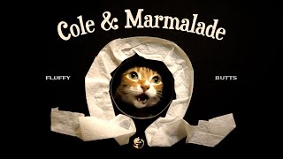 Cole amp Marmalade… 12 Years of Pawsomeness [upl. by Milon]