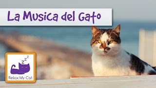 La música del gato  ayudar a relajar su gato con música el desarrollo del cerebro de los gatos [upl. by Suidaht]