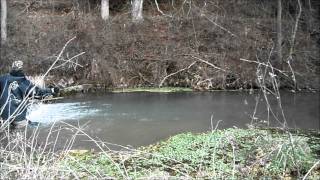 26 inch Spring Creek Brown PA [upl. by Paton615]