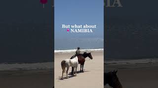 Wild Namibia on Horseback 🧡🐎 [upl. by Enidlareg]