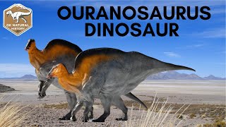 Ouranosaurus Dinosaur [upl. by Wallford793]