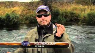 STEELHEAD FISHING DESCHUTES WITH KELLY GALLOUP [upl. by Beeck865]