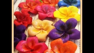 Diy How to Make Plumeria Frangipani Craft Foam Flower  Hair Bow Brooch RoomGift Decoration [upl. by Oiramej]