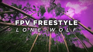 FPV Freestyle  LoneWolf [upl. by Ylrebmic]