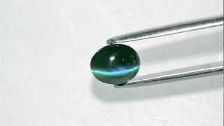 225Carat Dark Green Alexandrite Cats Eye 100 ColorChange [upl. by Anemolihp]