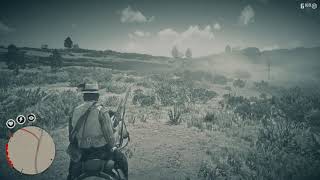 RDR2  Finding a Rio Grande Wild Turkey [upl. by Atalee]