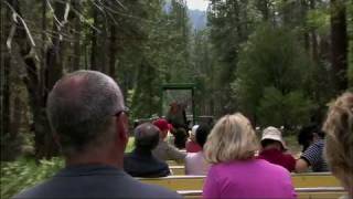 Yosemite Tram Tour and Shuttle Bus  National Park X [upl. by Omidyar]