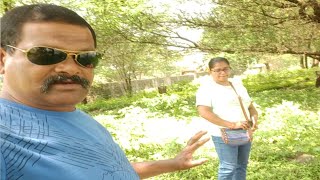 Outdoor Picnicआउटडोर पिकनिकoutdoor picnic ideasFamily Picnicpicnicspot picnic viralvideo [upl. by Waylan]