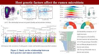 iMeta  Genome and transcriptome to uncover the host–microbiome interactions in rumen methanogenesis [upl. by Gregorio]