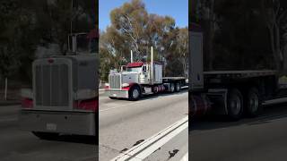 🦅🔥🔥 peterbilt fyp peterbilt389 camion trucker truckdriver reels [upl. by Odravde]