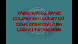 Sana Naman  Roeder Original Minus One Karaoke Version [upl. by Yekciv]