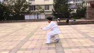 Tanglang Quan Mei Hua Lu  螳螂拳 梅花路 [upl. by Goddart510]