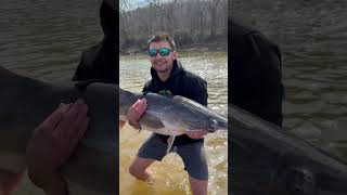 Check out this giant Spoonbill spoonbill paddlefish [upl. by Treat]