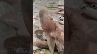 buying dover sole fishtrending shortvideo [upl. by Borden]