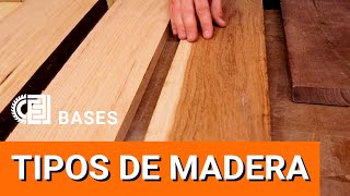 Tipos de madera Qué madera usar Qué diferencia hay entre pino y encino  BASES de la Carpinteria [upl. by Aicilehp674]