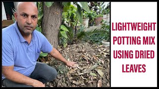 फ्री में गमलों की मिट्टी हल्की रखें और छत का लोढ कैसे घटायें । Lightweight potting mix for Garden [upl. by Luapleahcim190]