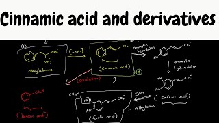 cinnamic acid biosynthesis  biosynthesis part 9 [upl. by Enahpets]