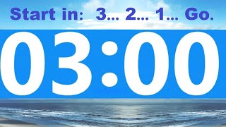 3 Minute Countdown Timer Beep amp Time Remaining at Each Minute  NO ADS DURING TIMER No Music [upl. by Enael]